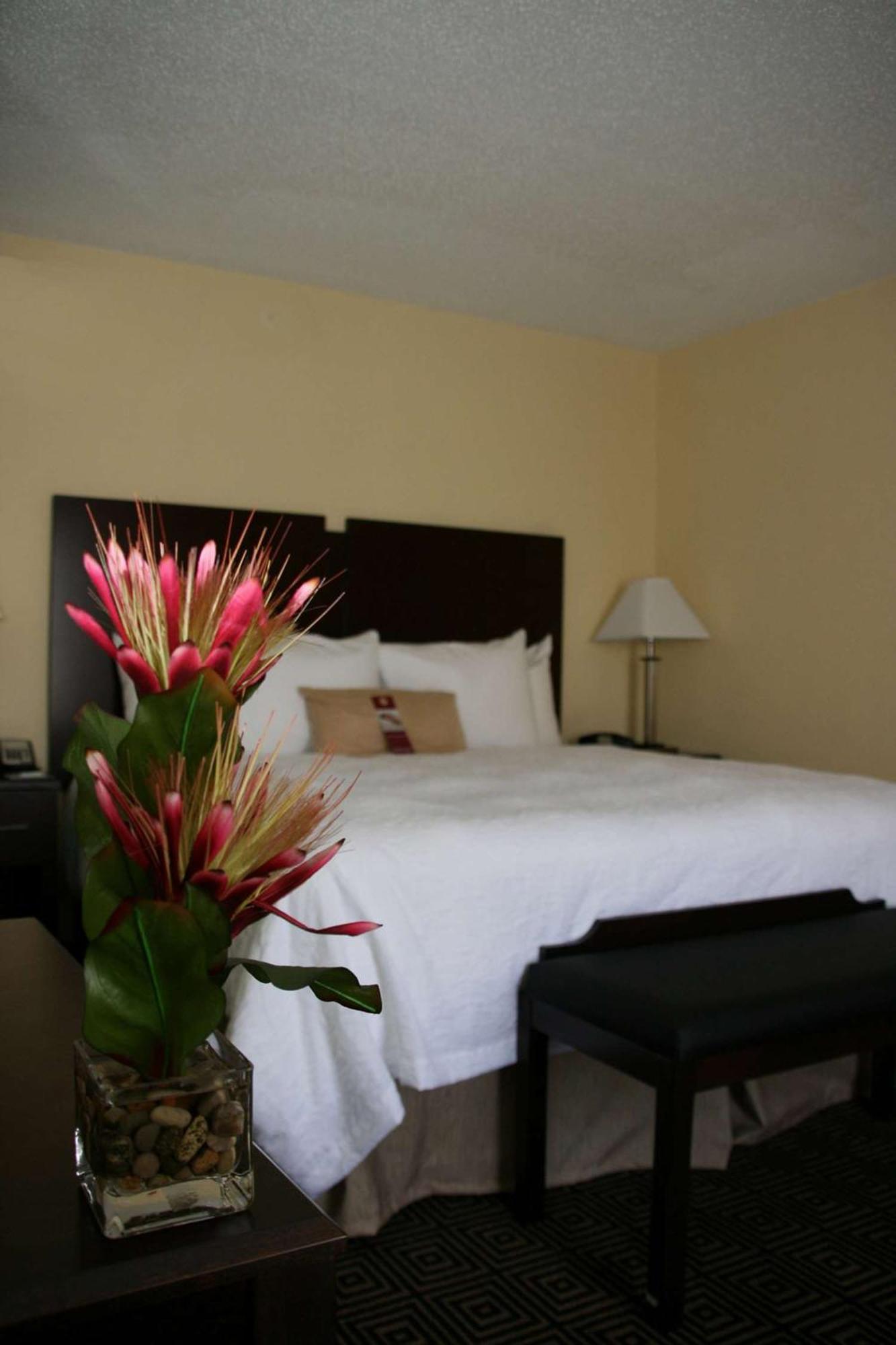 Hampton Inn & Suites Orlando-John Young Parkway/South Park Dış mekan fotoğraf